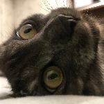 uwi0c member profile picture