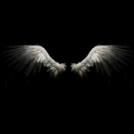 View ximthemodguy's Profile