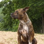 Thh05 member profile picture