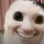Obsibom member profile picture