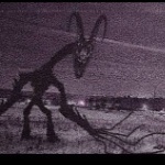 View Tormentor_official's Profile
