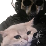 musclezep member profile picture