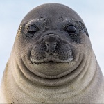 CegoDev member profile picture
