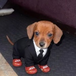 Nabi_0_o member profile picture