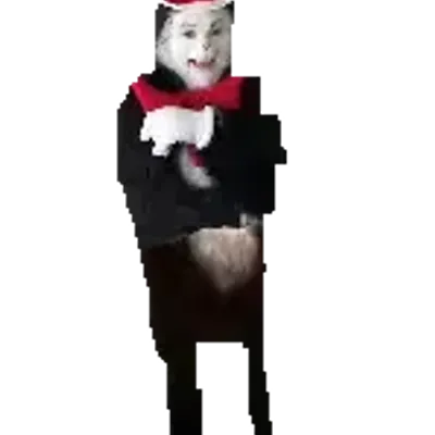 Cat In The Hat Analog Horror