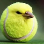 Senpai78s member profile picture