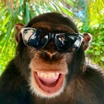 View MUHMAT's Profile