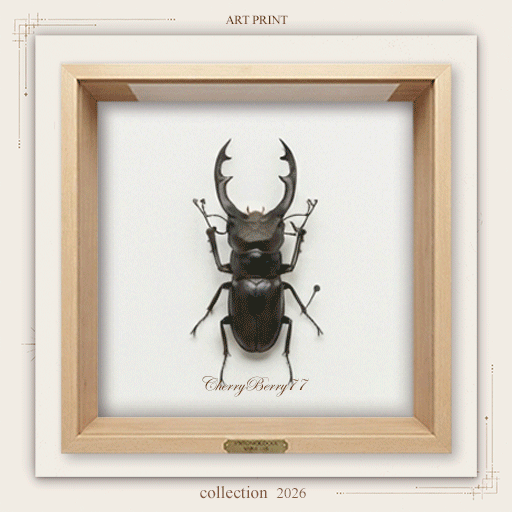 Naturalist Beetle Wall Art logo