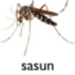Jackpou member profile picture