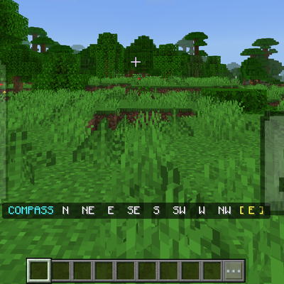 Directional compass