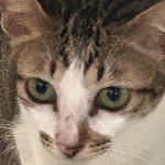 Ycx_90727 member profile picture