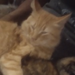 Martincito18 member profile picture