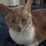View catxblux's Profile