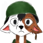 Gato_sertanejo member profile picture