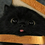 Gizzyfurs member profile picture