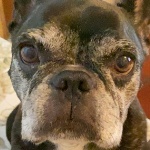 user_catucha2001 member profile picture