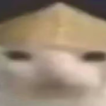 susuru_tvmp4 member profile picture