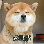 FioOoOo member profile picture