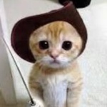 Goofytacomuncher member profile picture