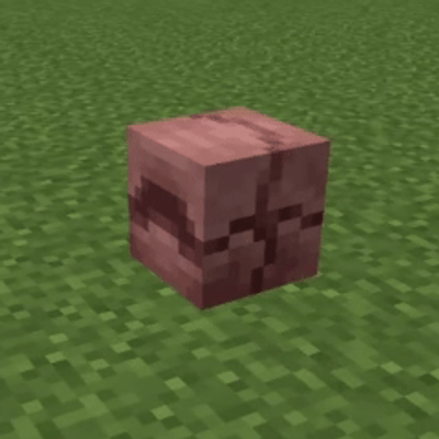 Armadillo