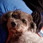 BeanNs member profile picture