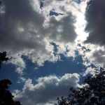 iam_cLouDYyY member profile picture