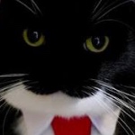 LateNightWonder member profile picture