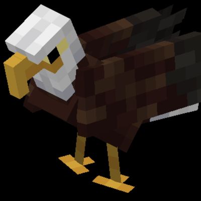 Animals4 