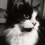 View Kaiispro's Profile