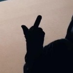 EE3FAAC member profile picture