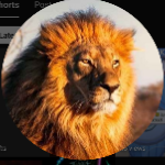 user_okq85wml29ezork7 member profile picture
