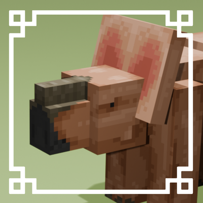 PACHYRHINAGER