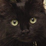 View Klyxp's Profile