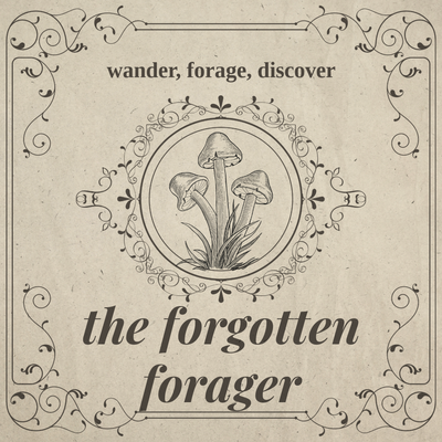 the Forgotten Forager - ft Mushroom Quest  logo