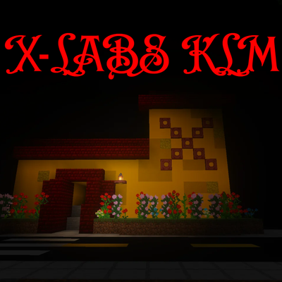 X-Labs KLM