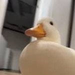View _skribblez_'s Profile