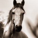 lotttam member profile picture
