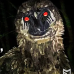 Random_bird member profile picture