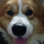 Mitsu0999 member profile picture
