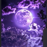 ItzMidnight member profile picture