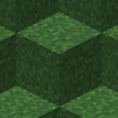 Fast grass logo