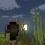 Tawhid1 member profile picture
