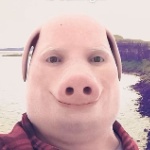 PORK_JOHN member profile picture