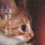 Ovictr member profile picture