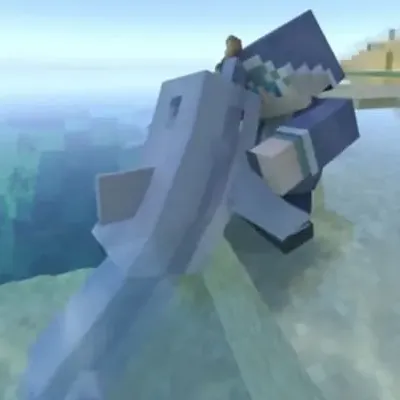 The Dolphin Trainer Simulator