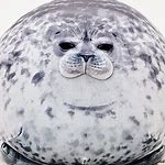 voliyito member profile picture