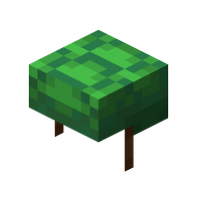 Actual Turtle Helmet