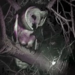 G0TH1CWH1MSY member profile picture