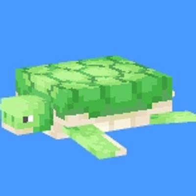 Carlosturtlefans Aquarium