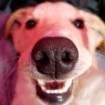 Fernando_ARG member profile picture